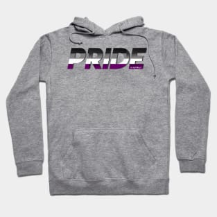 LGBTQ+ PRIDE: Asexual Pride Flag Hoodie